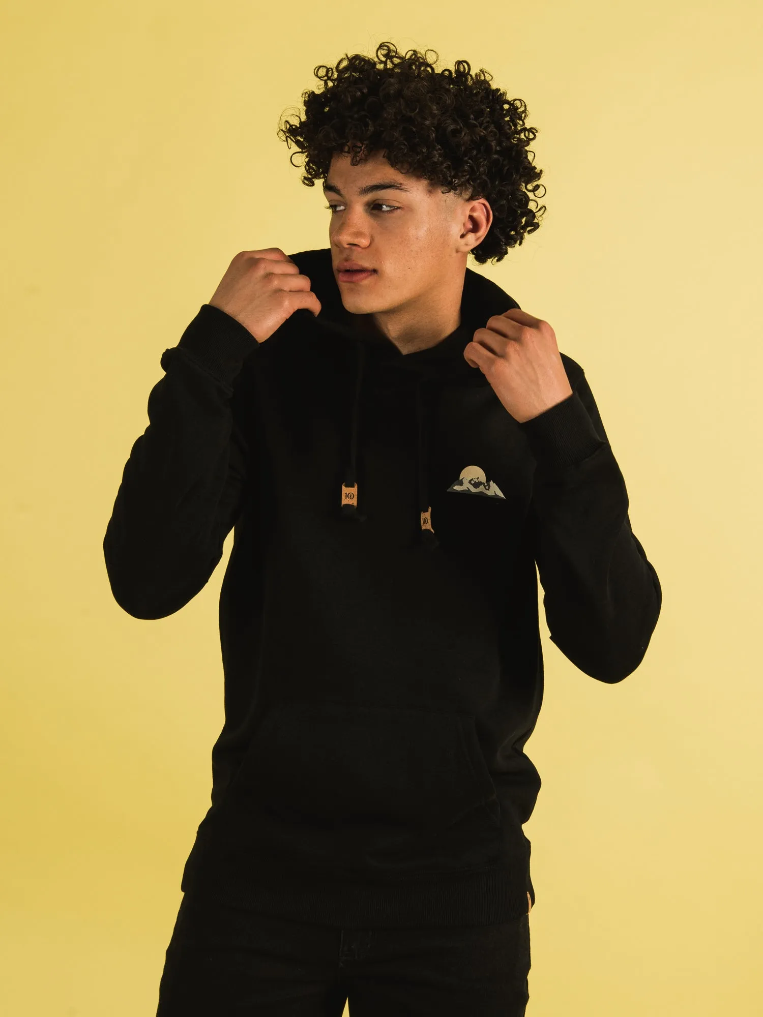 TENTREE ROAM OUTDOORS HOODIE - CLEARANCE sold by Boathouse product image thumbnail 3