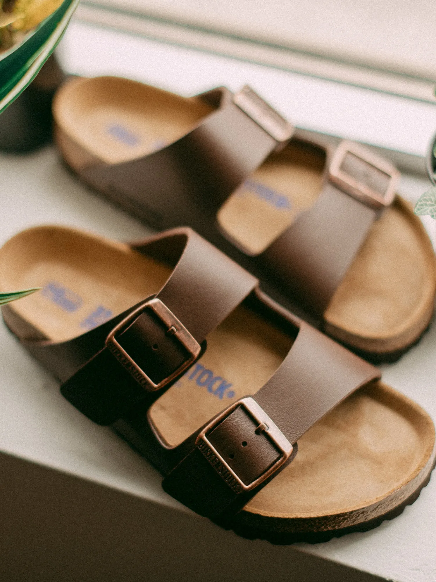 WOMENS BIRKENSTOCK ARIZONA SOFT DARK BROWN SANDALS - CLEARANCE sold by Boathouse product image thumbnail 3