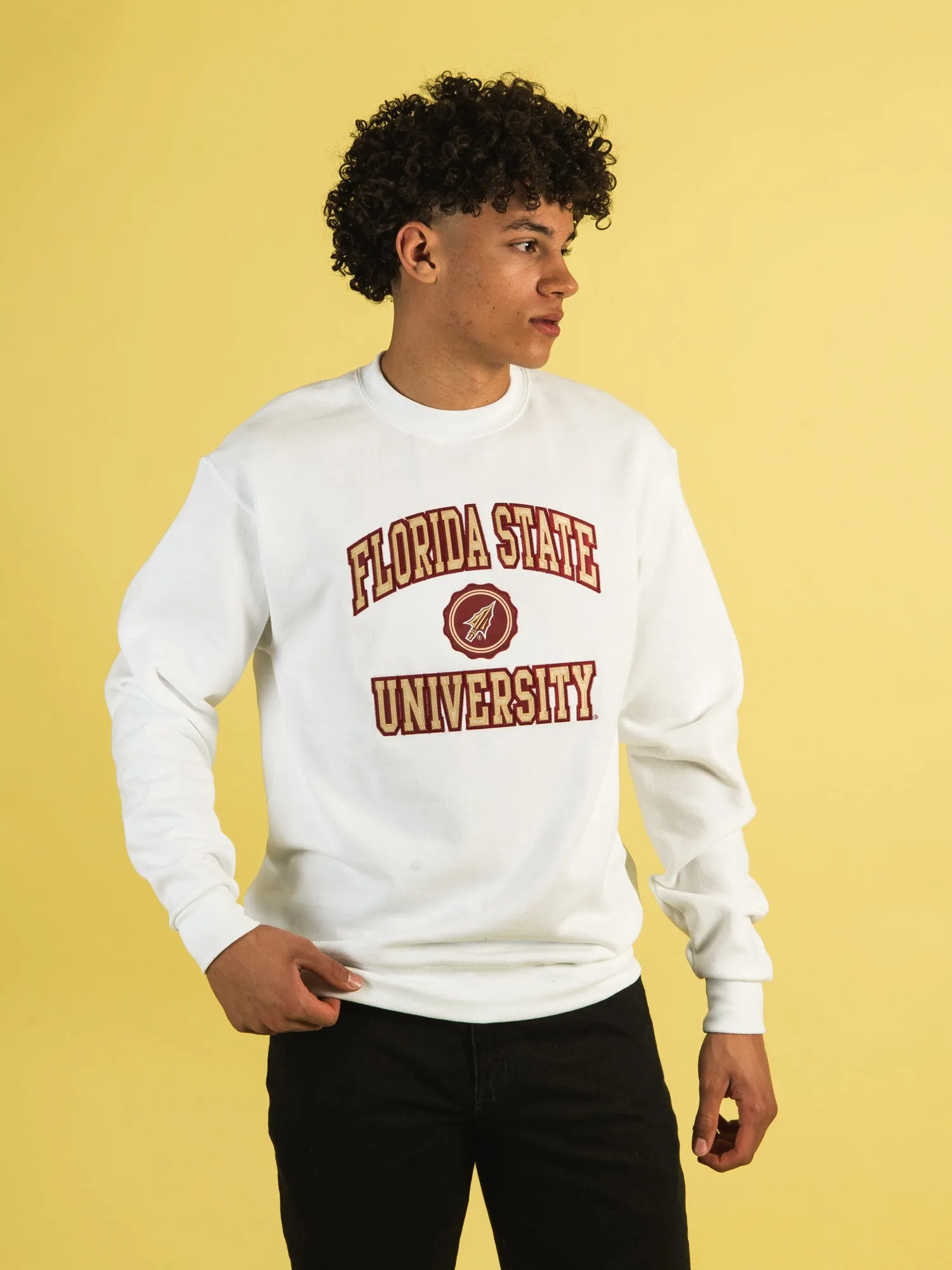 CHAMPION FLORIDA STATE CREWNECK sold by Boathouse product image thumbnail 3