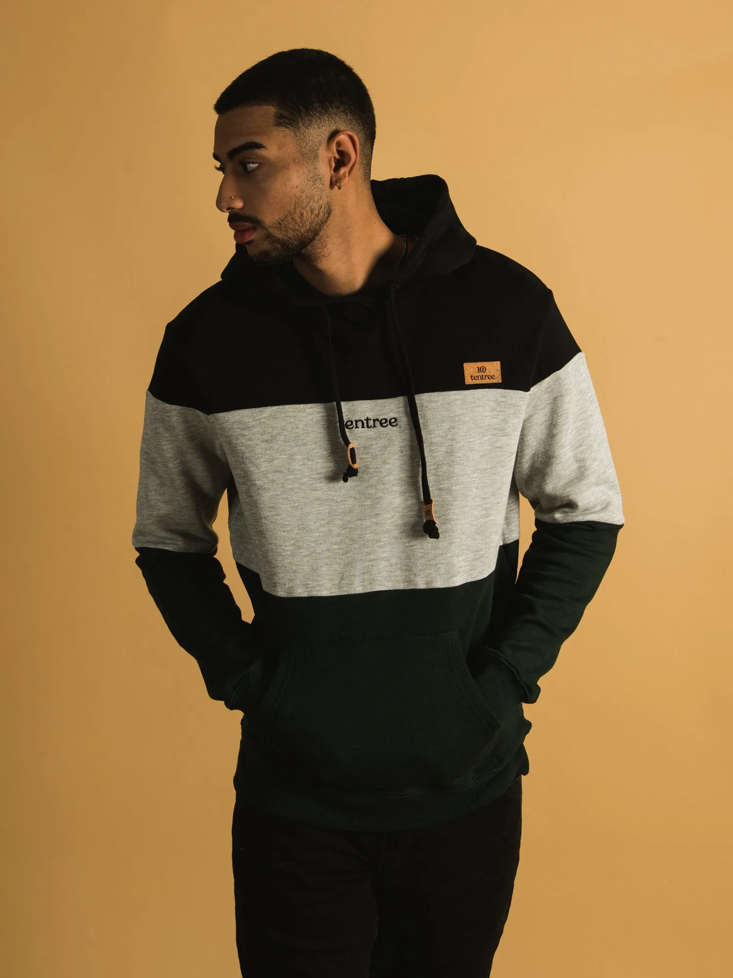 TENTREE BLOCKED EMBROIDERED REYNARD PULLOVER HOODIE - CLEARANCE sold by Boathouse product image thumbnail 2