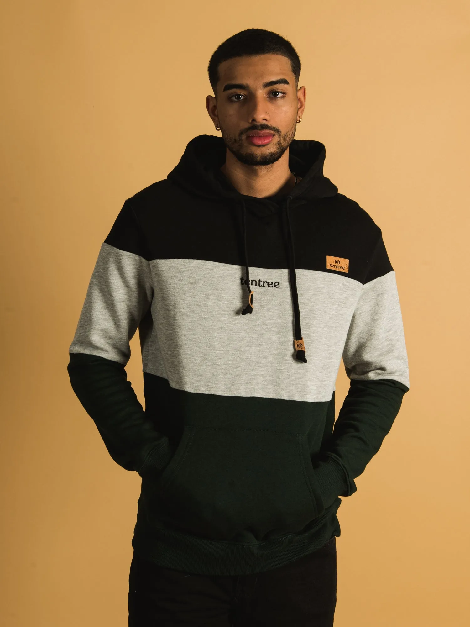 TENTREE BLOCKED EMBROIDERED REYNARD PULLOVER HOODIE - CLEARANCE sold by Boathouse