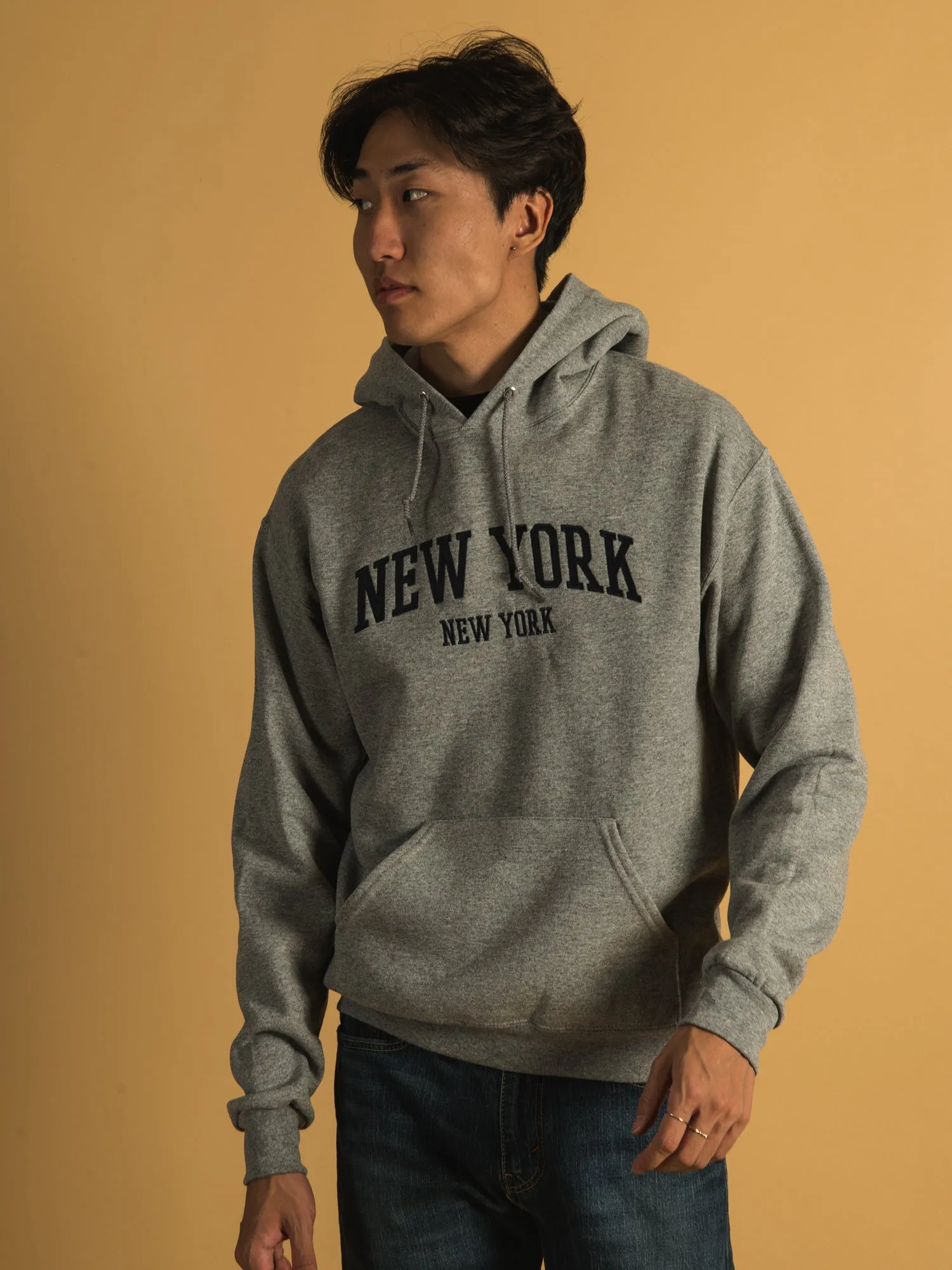 NEW YORK EMBROIDERED HOODIE sold by Boathouse product image thumbnail 2