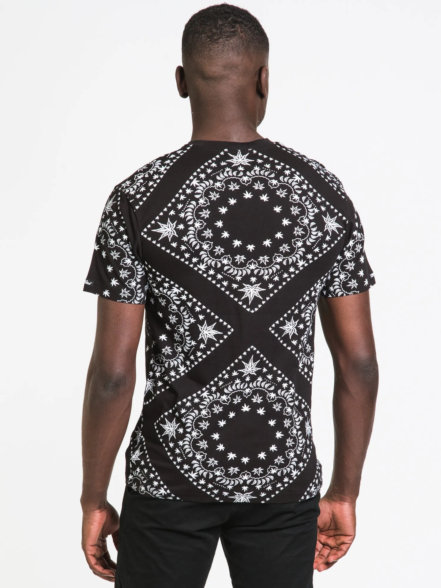 CROOKS & CASTLES KUSHDANA LEAF T-SHIRT - CLEARANCE sold by Boathouse product image thumbnail 2