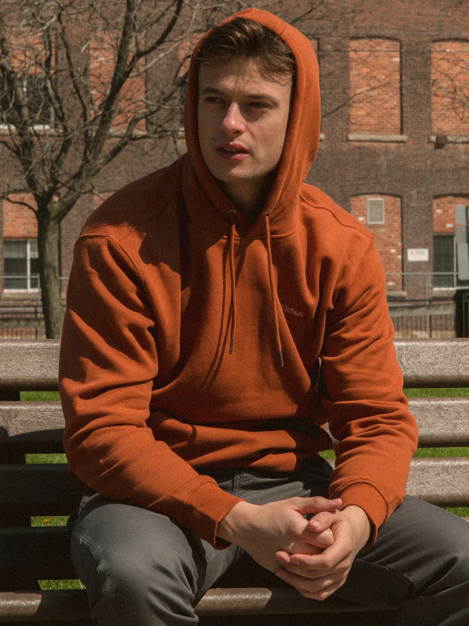 DICKIES UNIONTOWN HOODIE - CLEARANCE sold by Boathouse