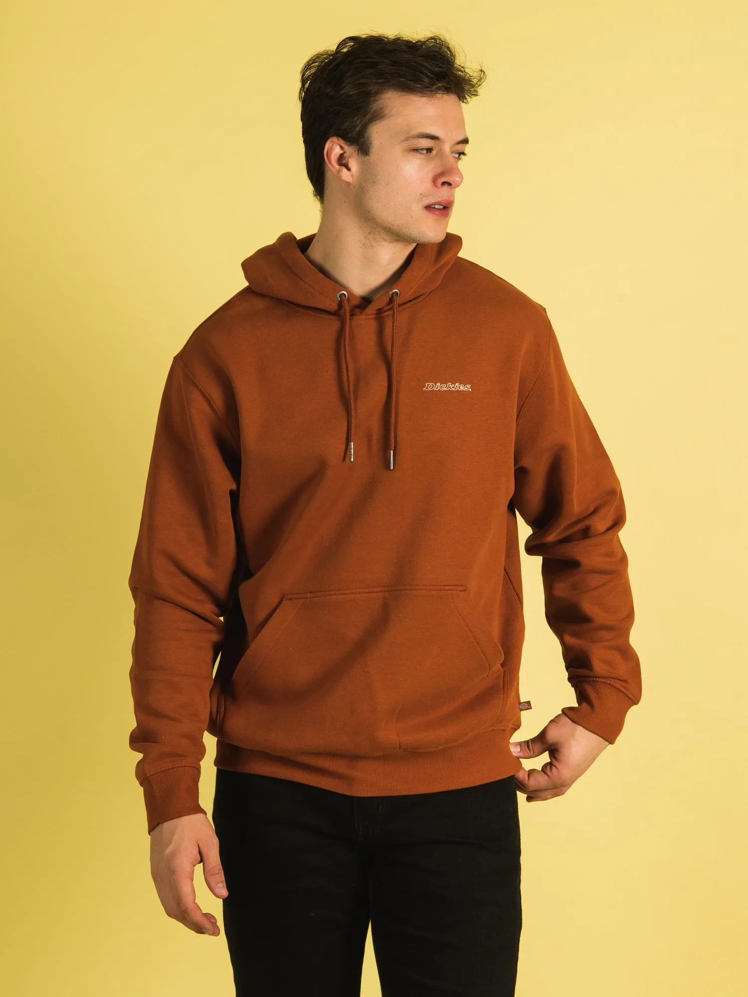DICKIES UNIONTOWN HOODIE - CLEARANCE sold by Boathouse product image thumbnail 2