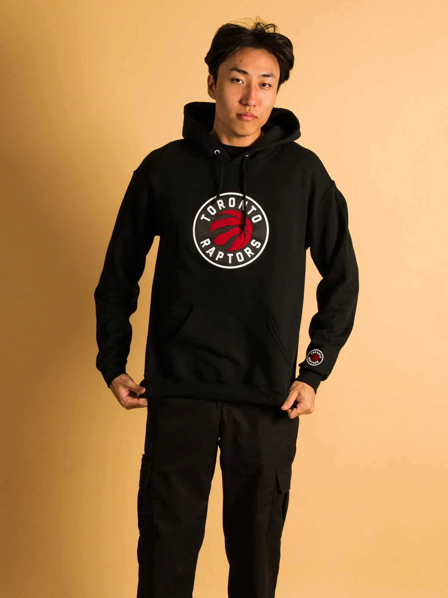 NBA TORONTO RAPTORS EMBROIDERED HOODIE sold by Boathouse product image thumbnail 3
