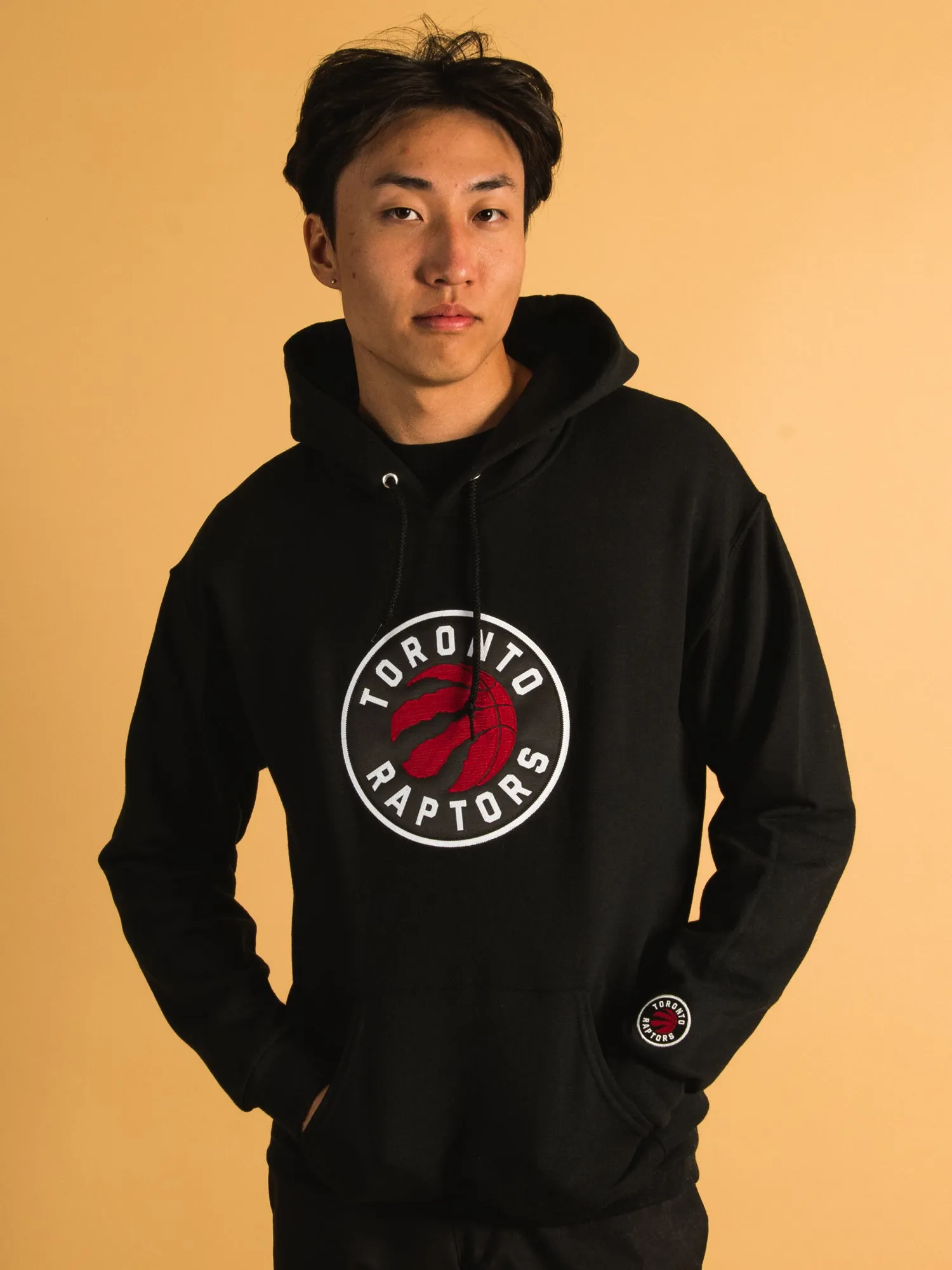 NBA TORONTO RAPTORS EMBROIDERED HOODIE sold by Boathouse