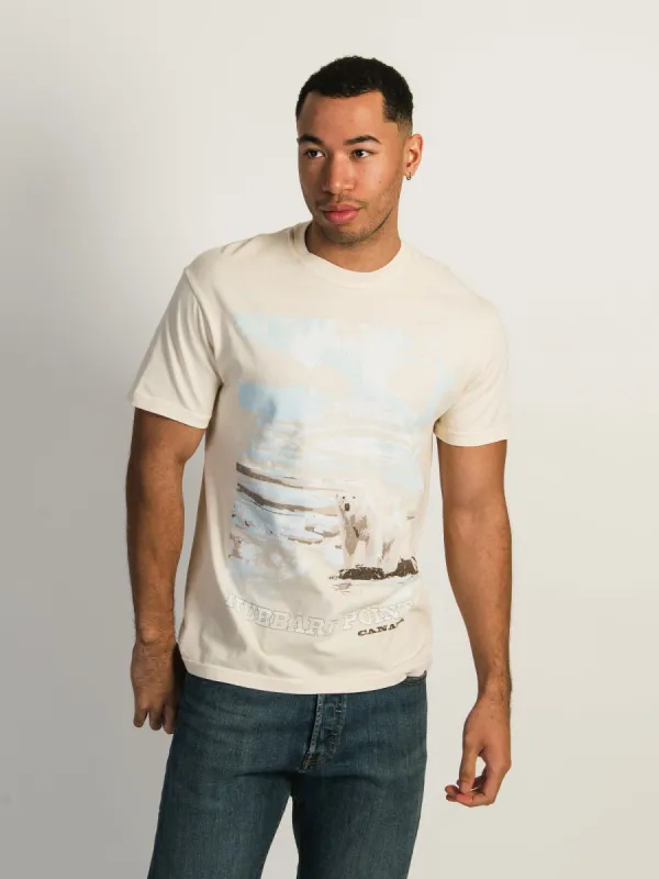 KOLBY NATURE POLAR BEAR T-SHIRT sold by Kolby