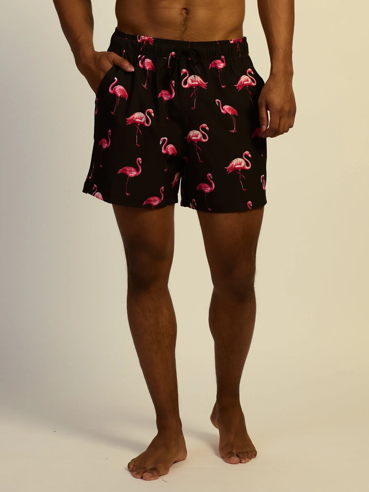 KOLBY SWIM FLAMINGO 5in STRETCH SWIM SHORT sold by Kolby product image thumbnail 2