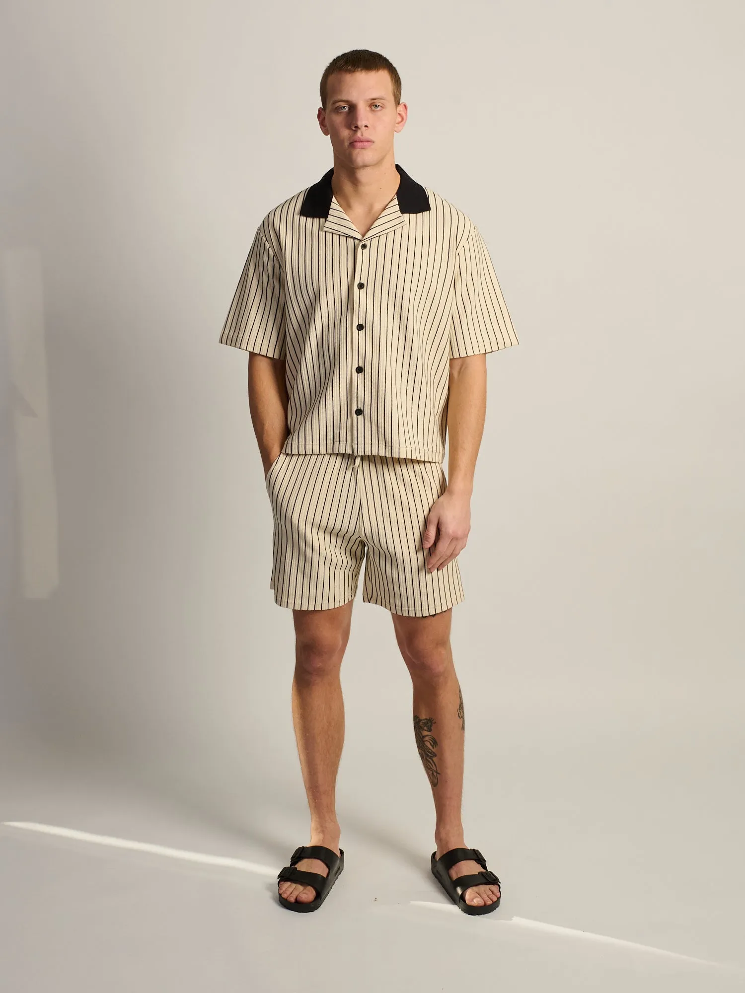 KOLBY SHORT CUT RIBBED BUTTON UP - PINSTRIPE sold by Kolby product image thumbnail 2