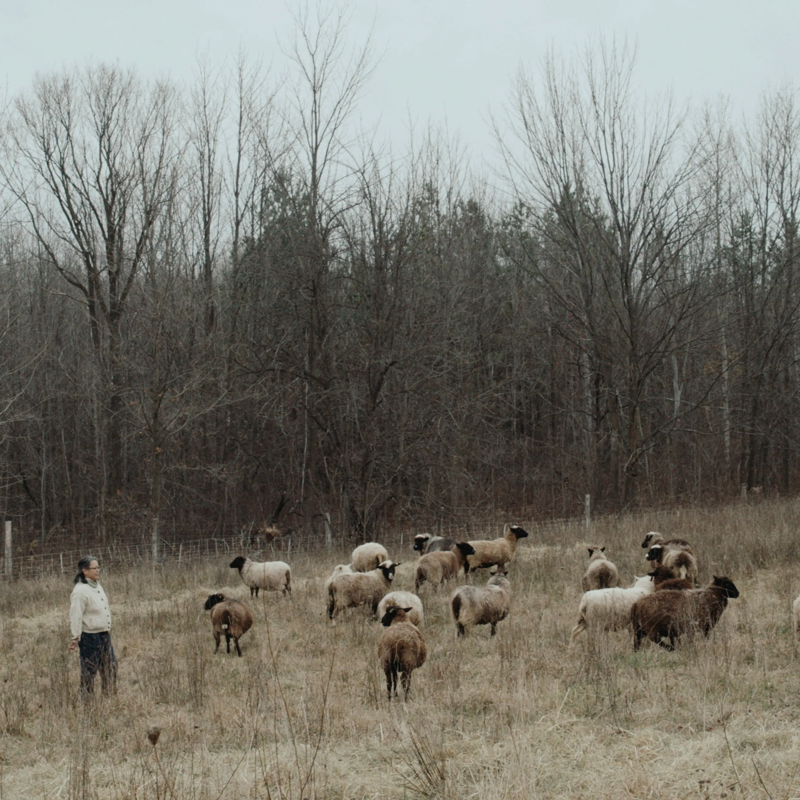 Double Layer Toque, Sheep's Black sold by Dana Lee Brown product image thumbnail 4