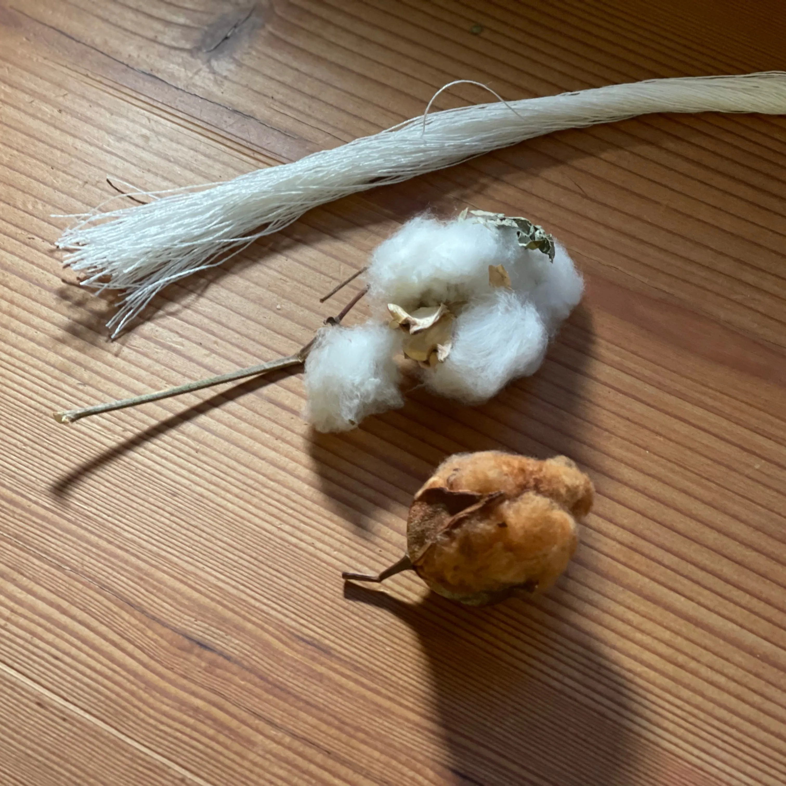 Pull-on Pant, Sun-dried Hickory Stripe sold by Dana Lee Brown product image thumbnail 4