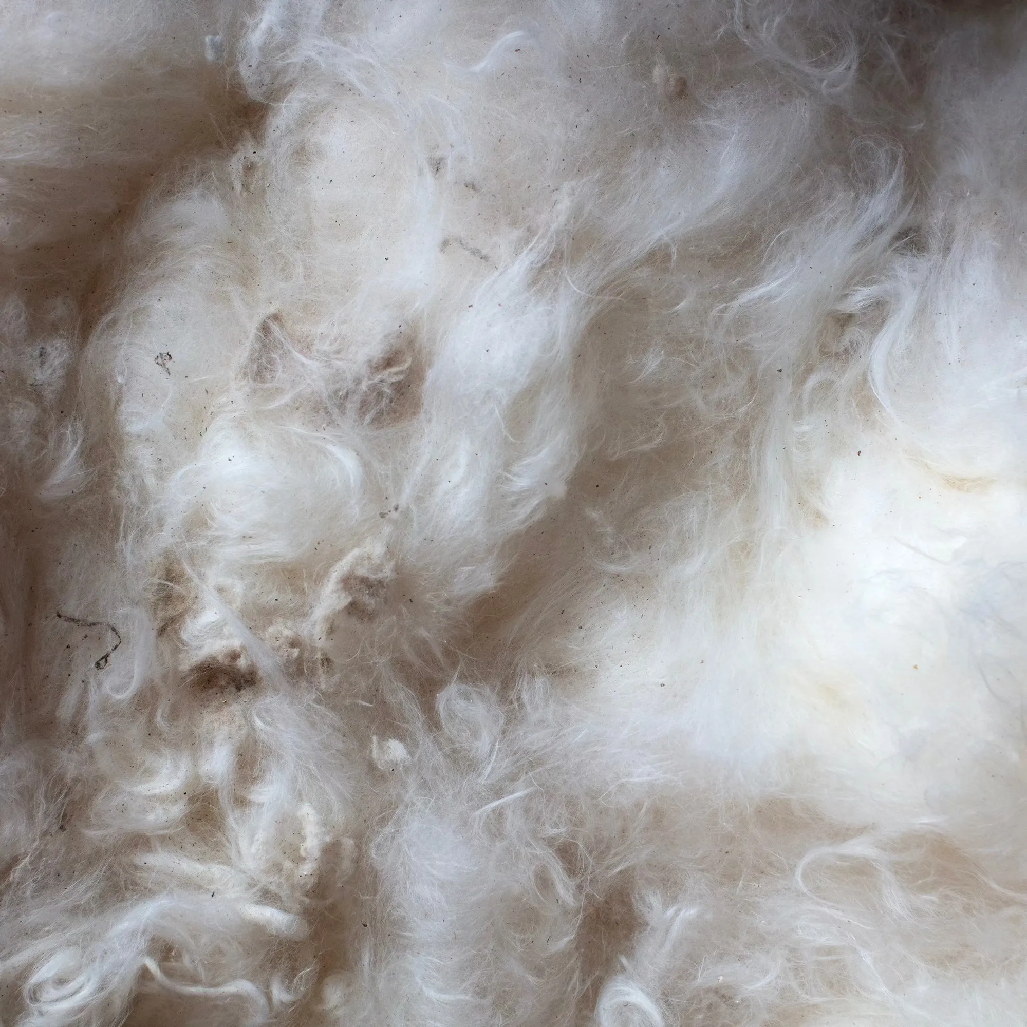 Base Tee, Natural sold by Dana Lee Brown product image thumbnail 4