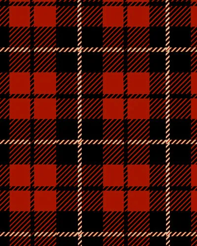 The Patrona Coat - Scotch Plaid sold by Effie’s Heart product image thumbnail 2