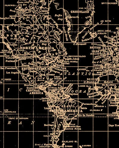 The Patrona Coat - Atlas sold by Effie’s Heart product image thumbnail 2