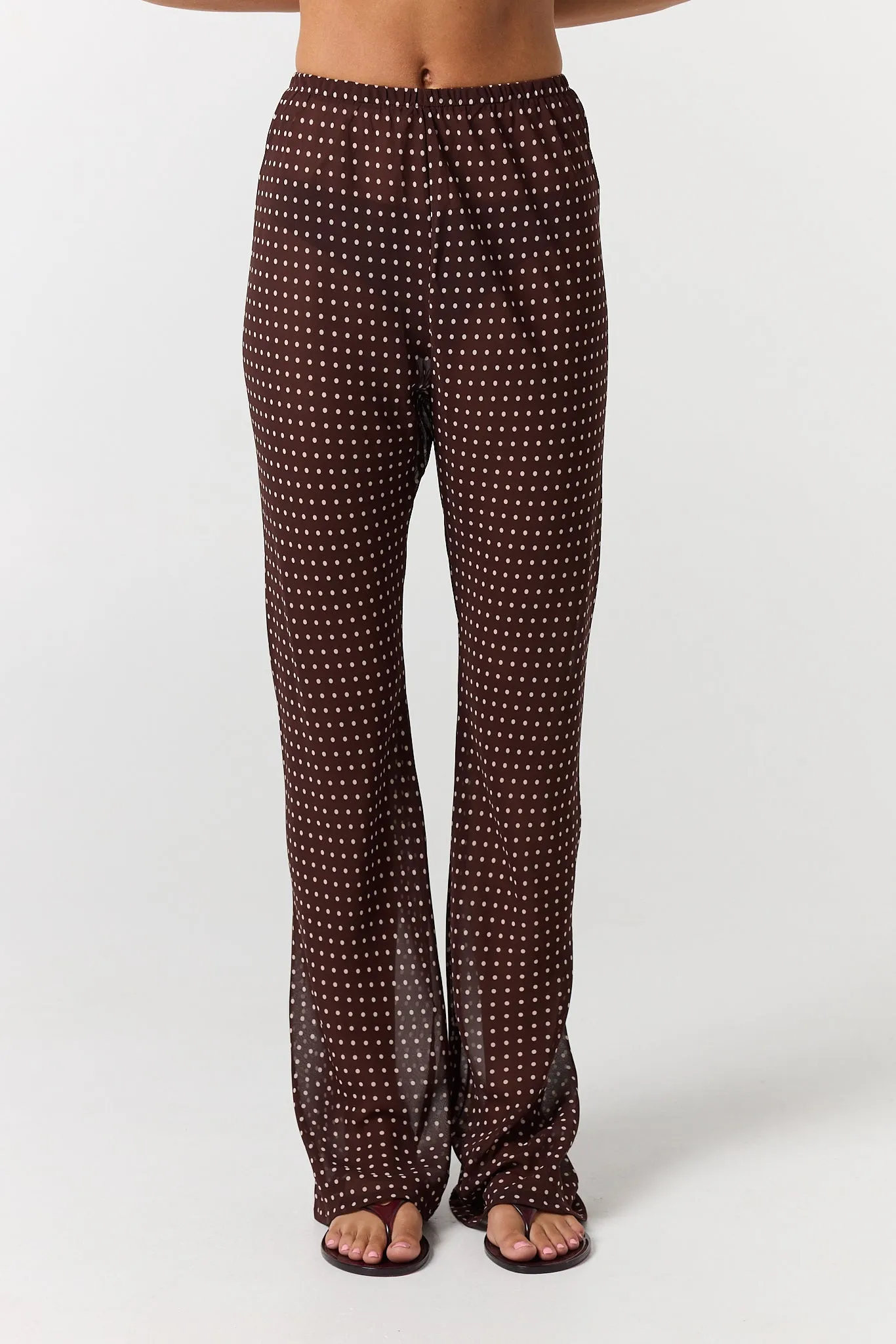 Zoe Pant (Choc Micro Polka) sold by Runway Scout product image thumbnail 5