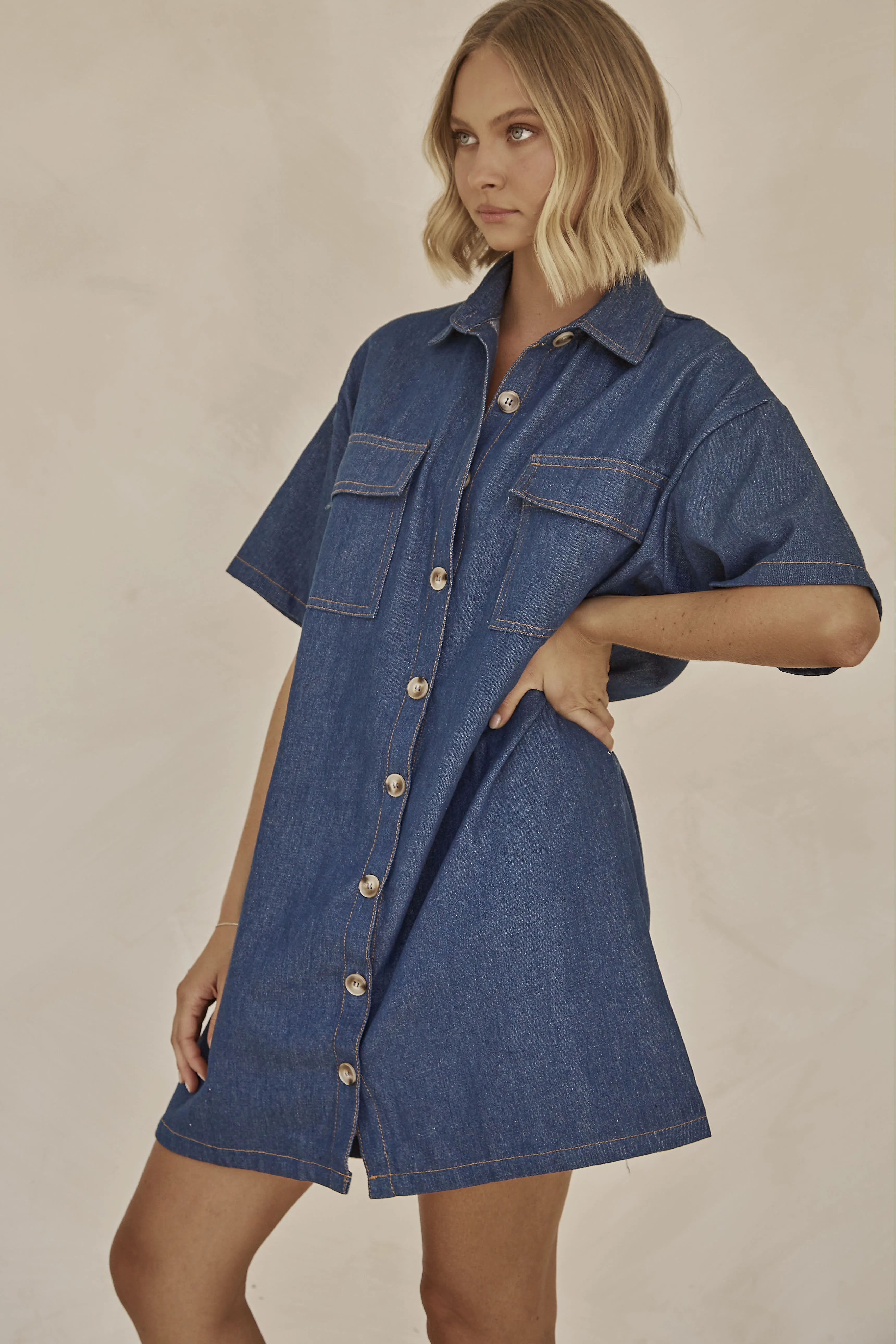 Emmi Denim Mini Dress (Blue) sold by Runway Scout product image thumbnail 2