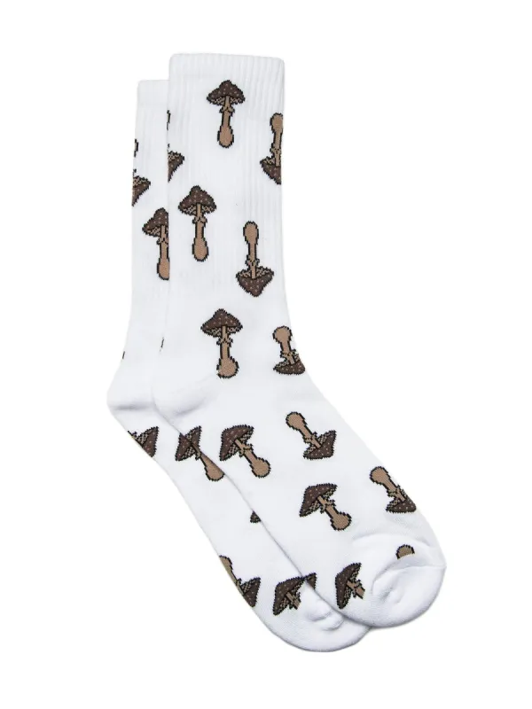 SCOUT & TRAIL MUSHROOM  - CLEARANCE sold by Blackwell