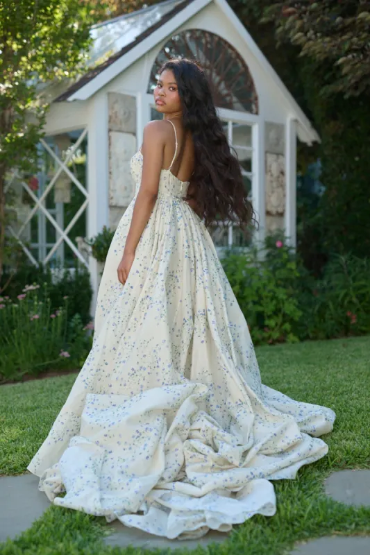 The Blue Vine Roman Holiday Gown made by Selkie