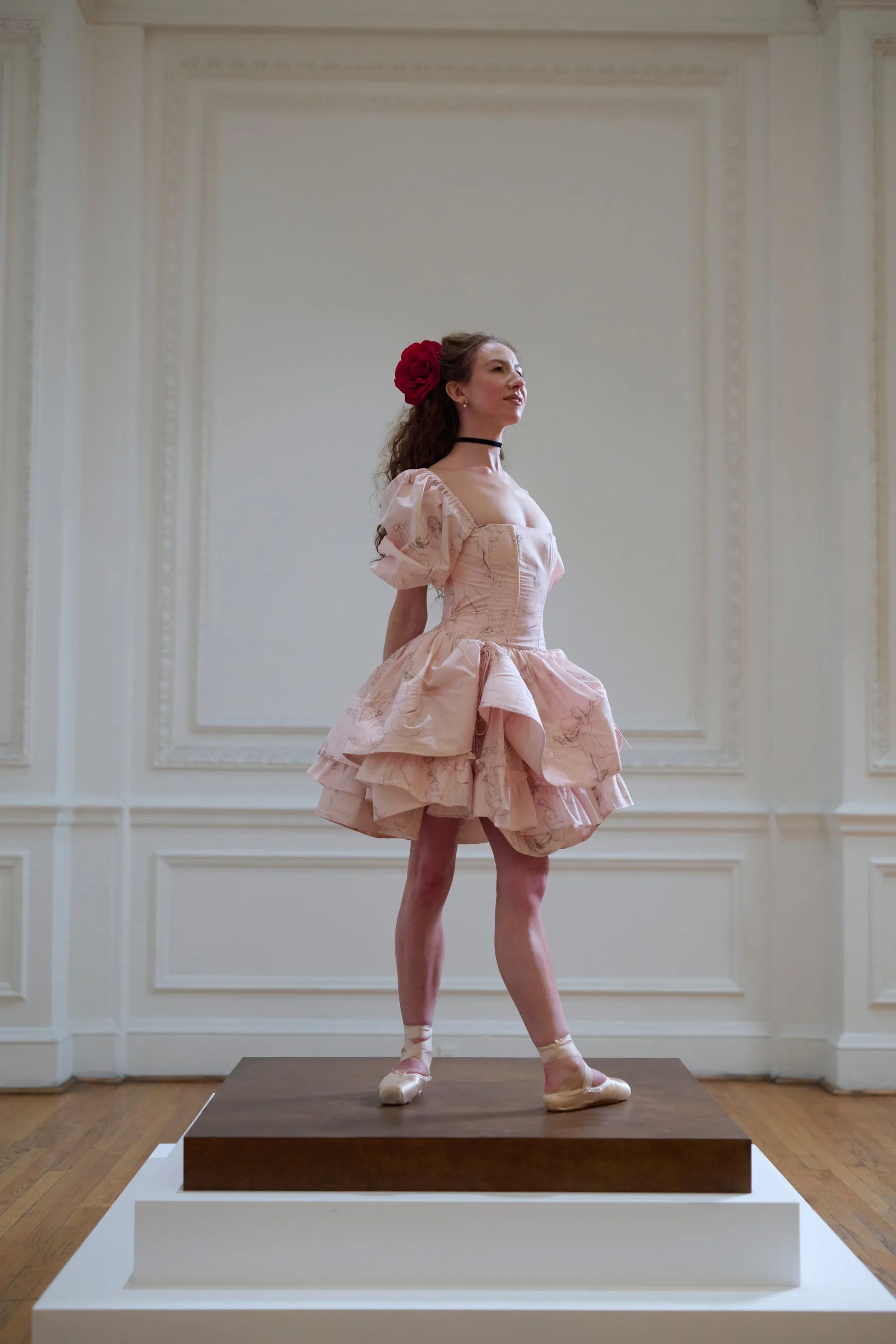 The Sketch Etoile Dress sold by Selkie product image thumbnail 2