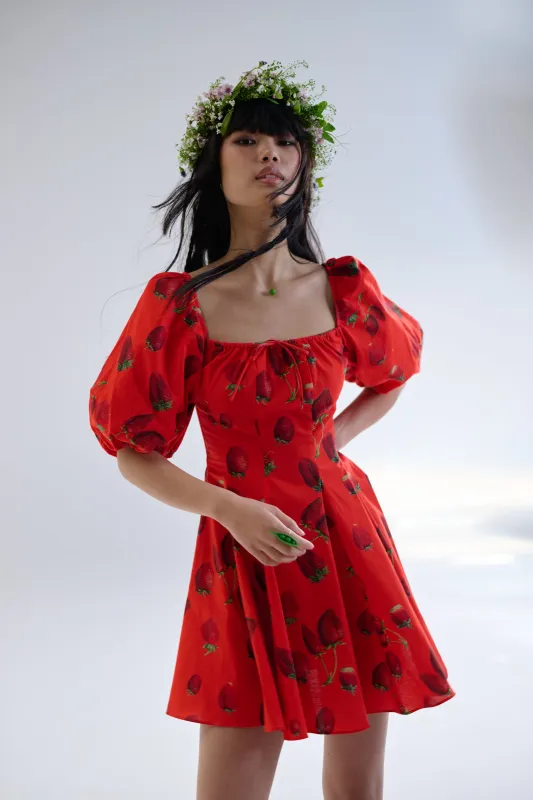 Like Strawberries Mini Day Dress sold by Selkie