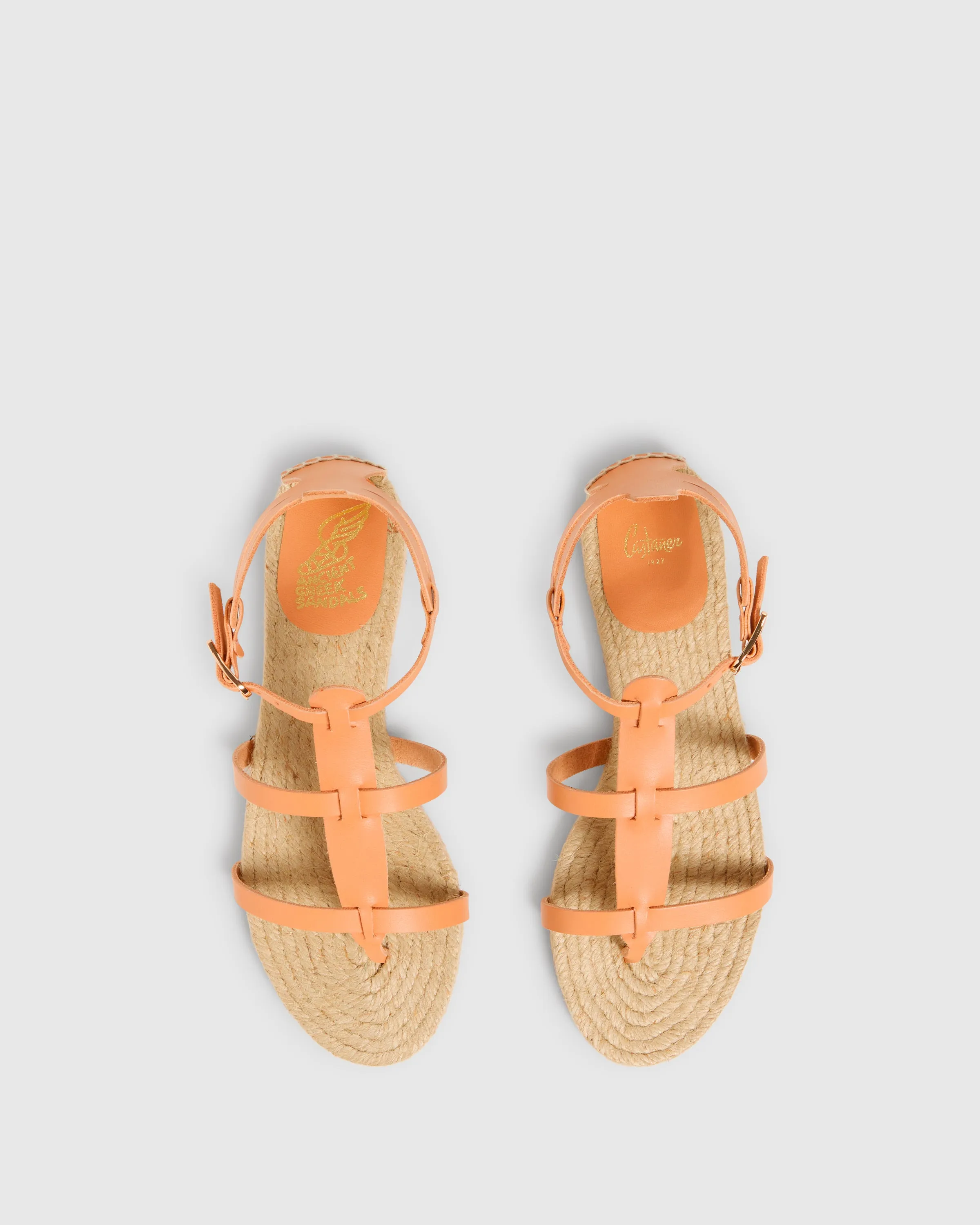 DELOS AGS/210 sold by Castaner product image thumbnail 4