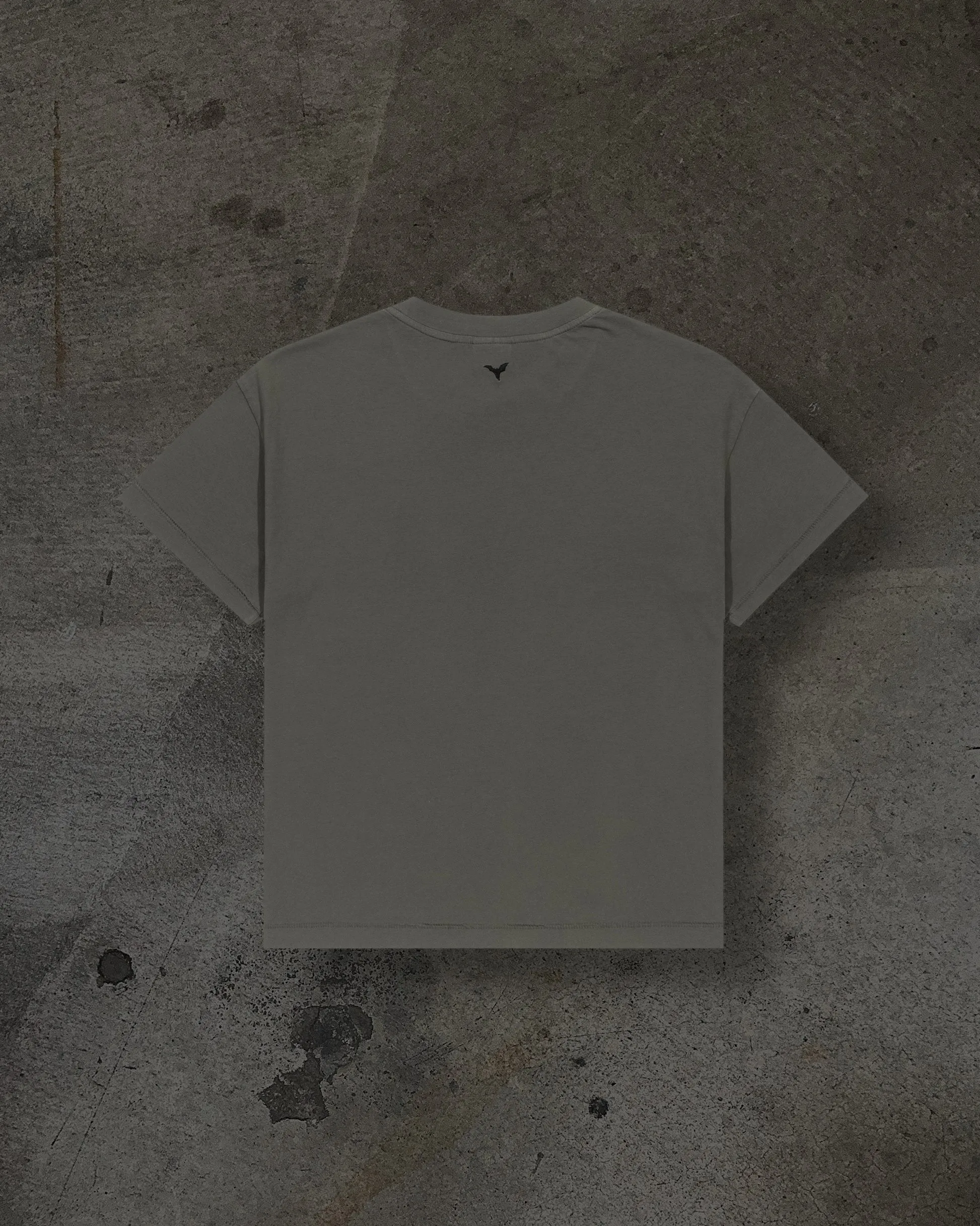 CROPPED BLANK TEE (CEMENT) sold by Ditch product image thumbnail 2