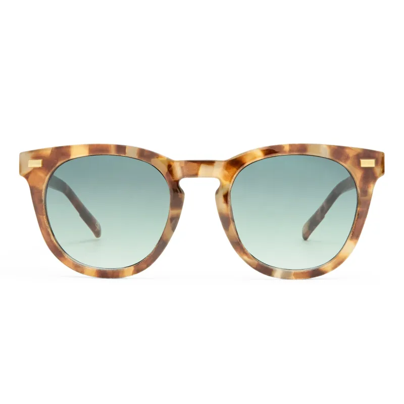 Evolution - Dark Tort sold by Aire