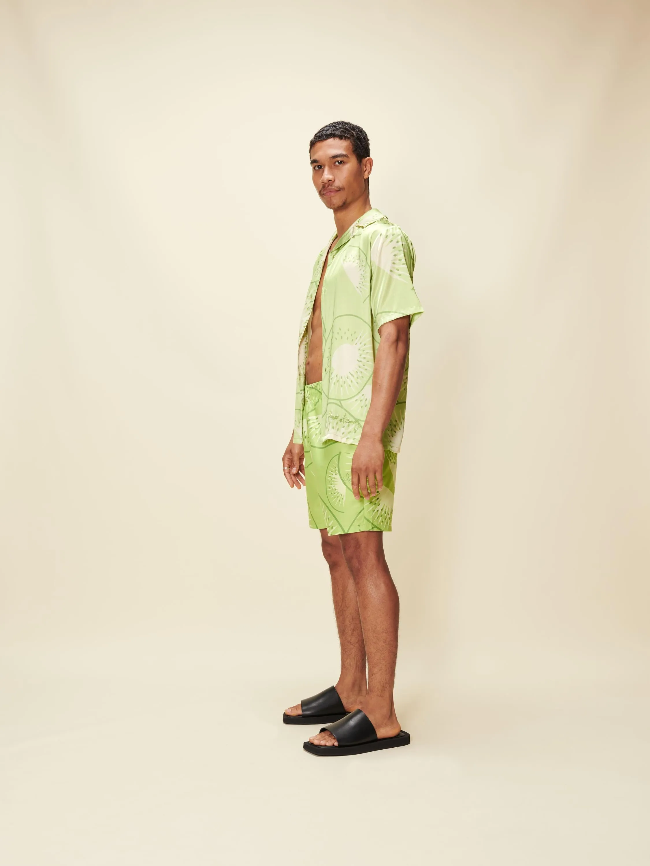 FALLING KIWIS SHIRT sold by House of Sunny product image thumbnail 3