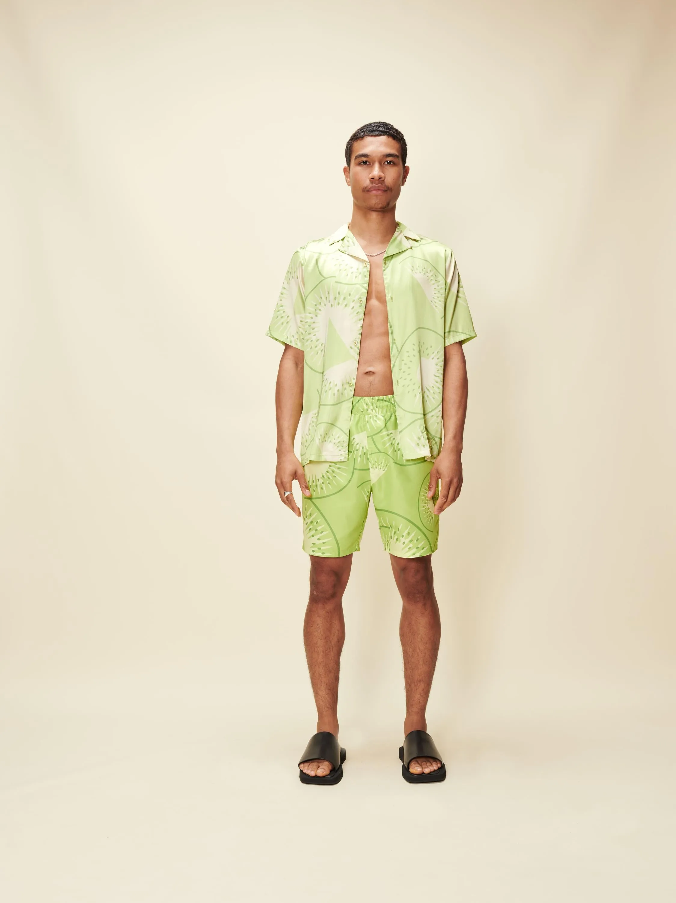 FALLING KIWIS SHIRT sold by House of Sunny product image thumbnail 2