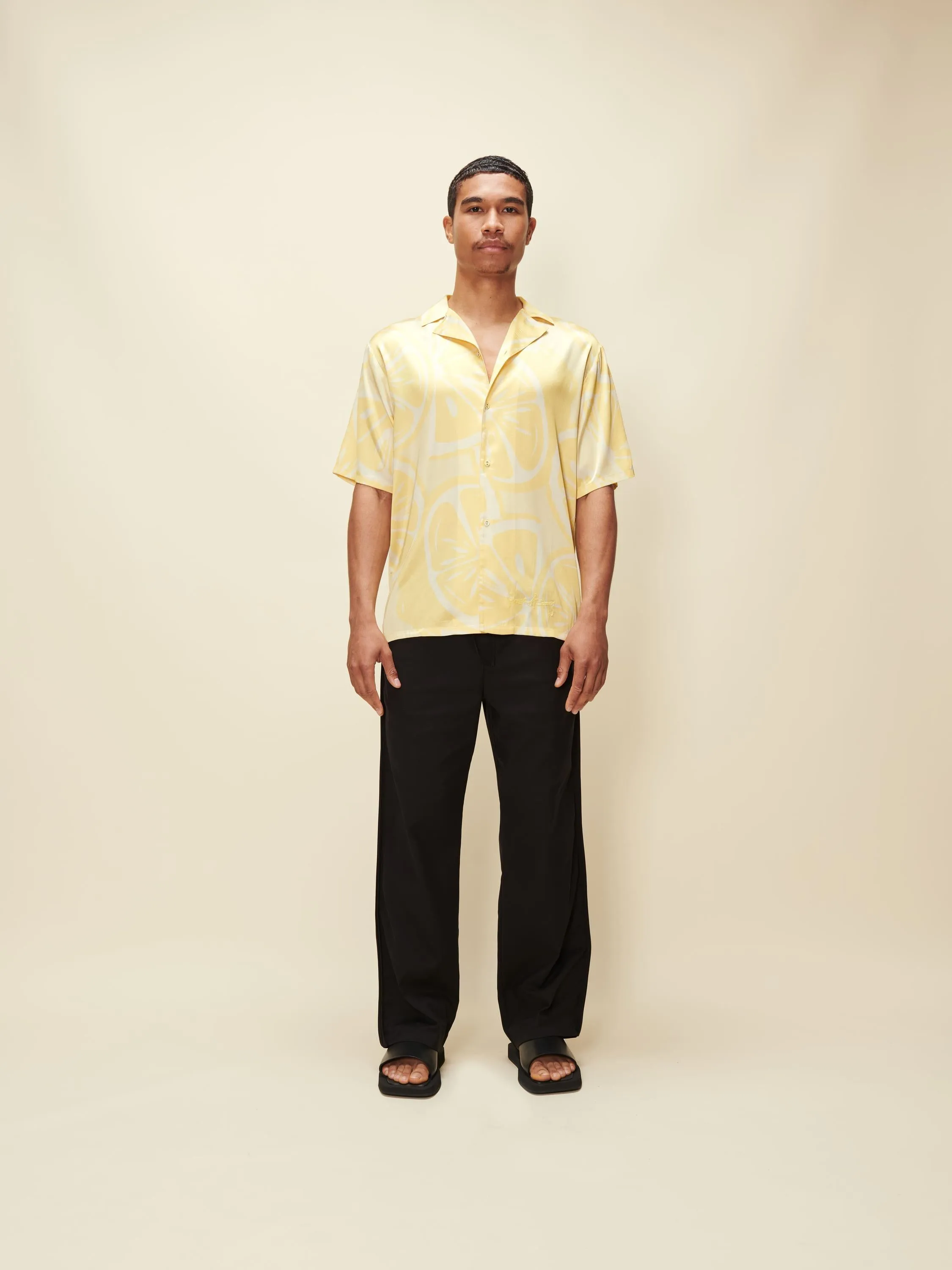 SLICED LEMONS SHIRT sold by House of Sunny product image thumbnail 3