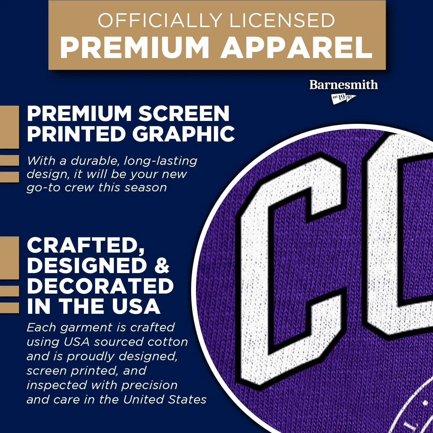 City College of New York Heritage Sweatshirt (Purple) sold by Barnesmith product image thumbnail 4