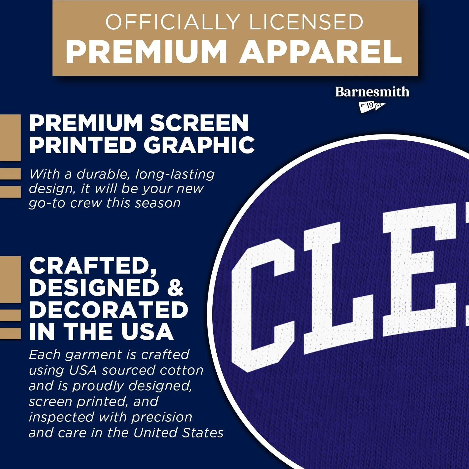 Clemson University Classic Sweatshirt (Purple) sold by Barnesmith product image thumbnail 4