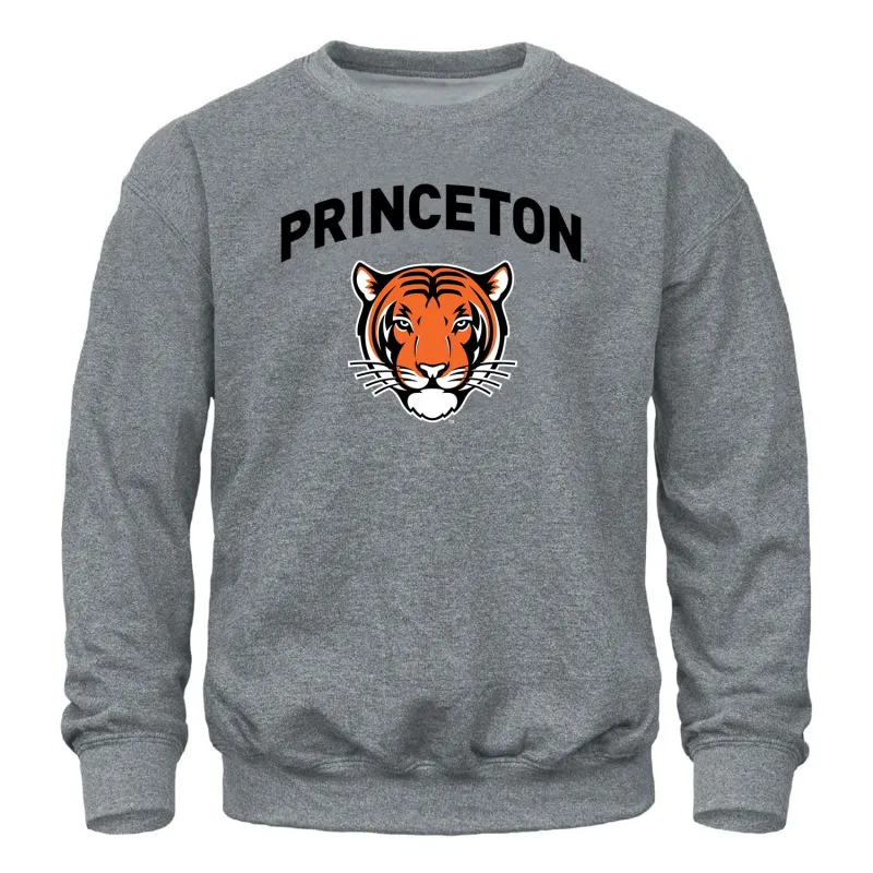 Princeton University Spirit Sweatshirt (Charcoal Grey) sold by Barnesmith