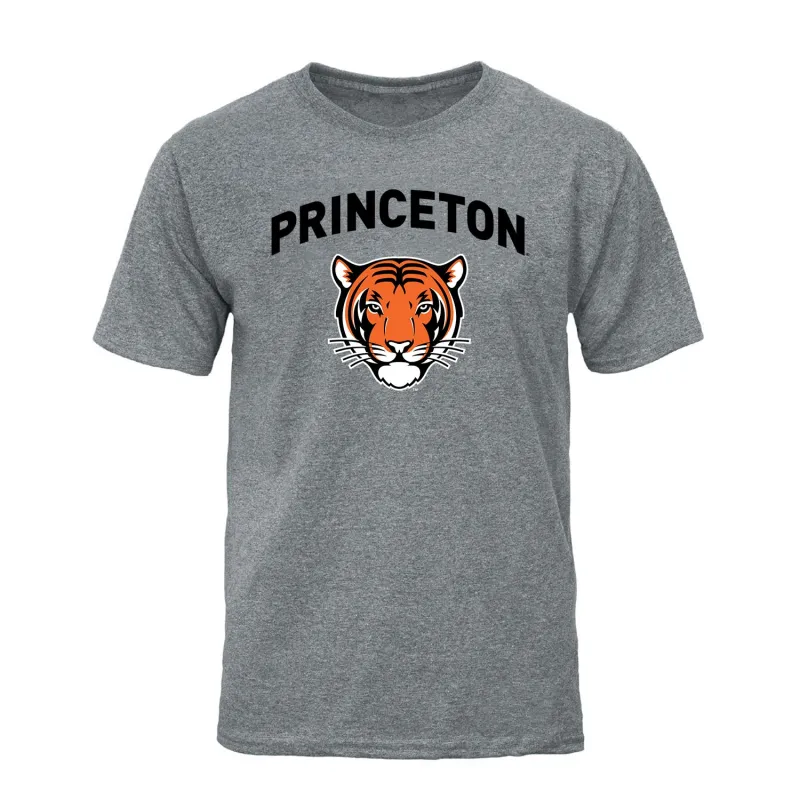 Princeton University Spirit T-Shirt (Charcoal Grey) sold by Barnesmith