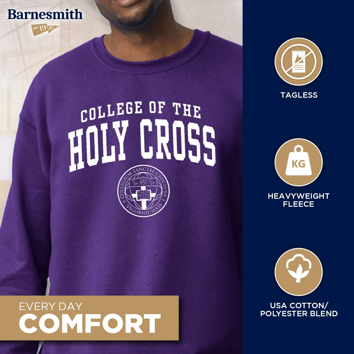 College of The Holy Cross Heritage Sweatshirt (Purple) sold by Barnesmith product image thumbnail 3