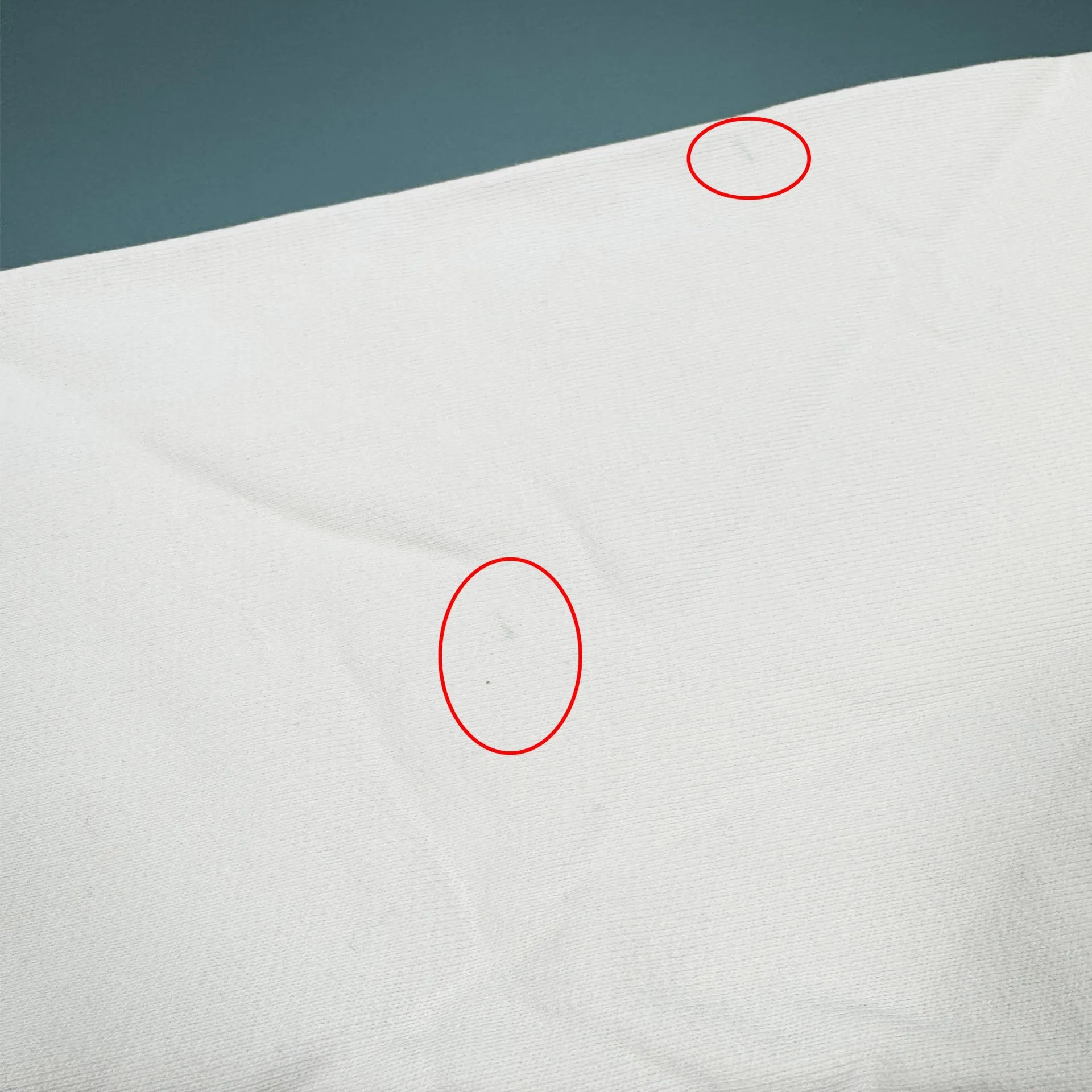 Heron Preston Beware Of Dog Cotton Sweatshirt sold by Siebentaschen product image thumbnail 5