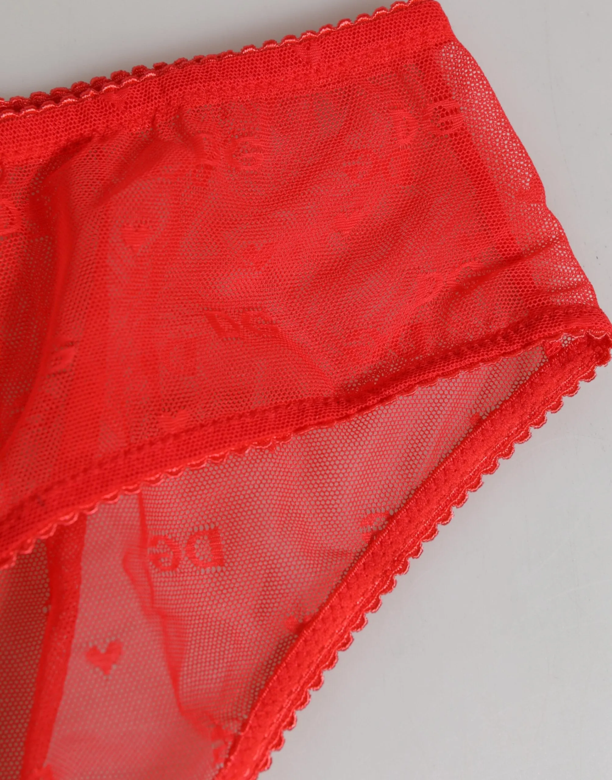 Dolce & Gabbana Red Nylon Sheer Mesh Lace Brief Panty Underwear sold by Siebentaschen product image thumbnail 3