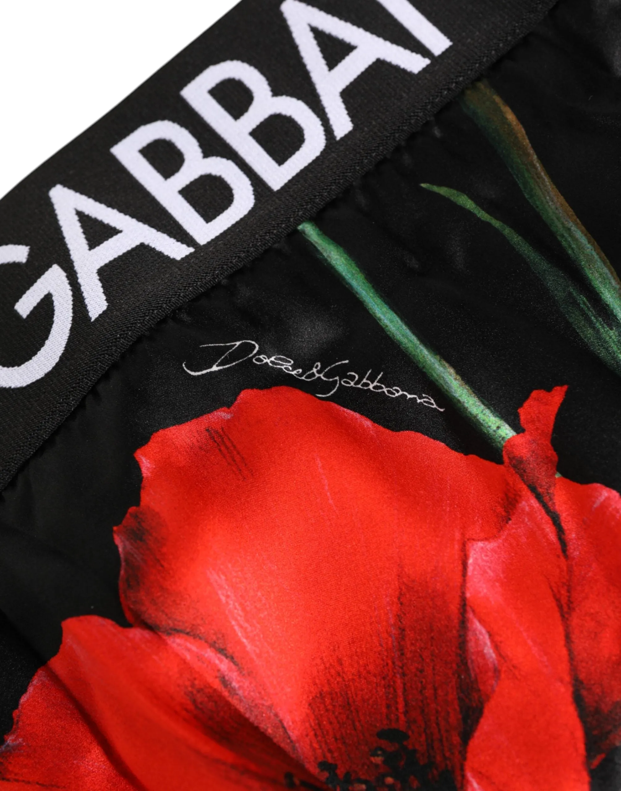 Dolce & Gabbana Black Floral Print High Waist Sheer Mesh Underwear sold by Siebentaschen product image thumbnail 3
