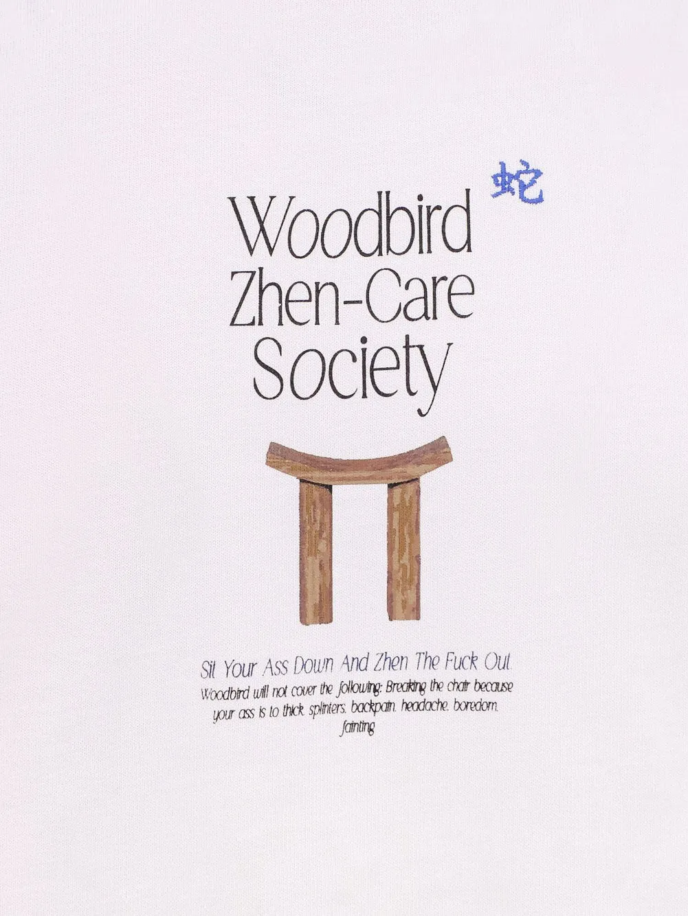 WOODBIRD Organic cotton T-shirt with logo print sold by Siebentaschen product image thumbnail 3