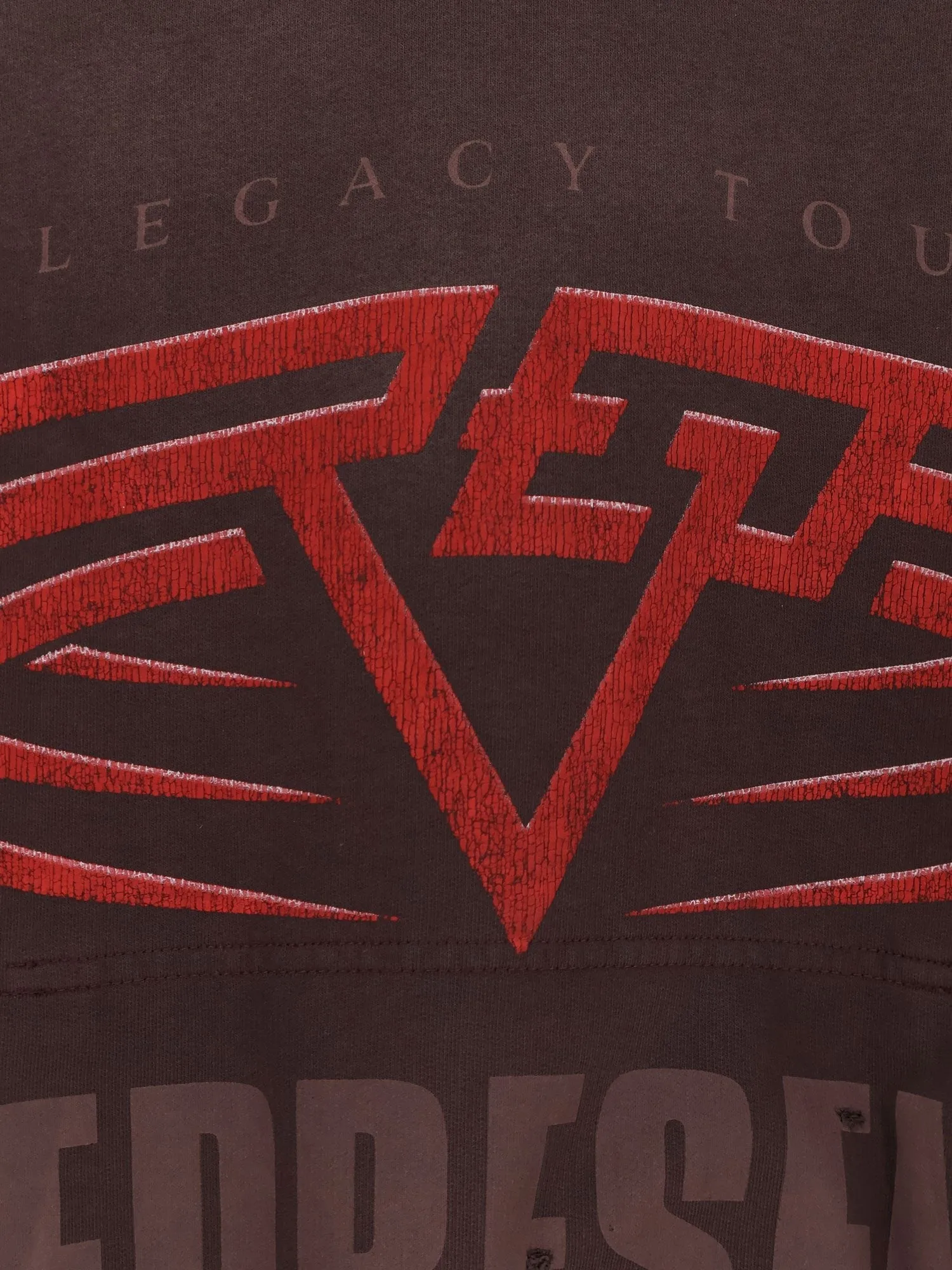 Represent Living Legacy reversible cotton hooded sweatshirt sold by Siebentaschen product image thumbnail 3