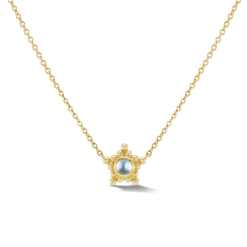 Granium Star Necklace in Moonstone made by EMILY WELD COLLINS