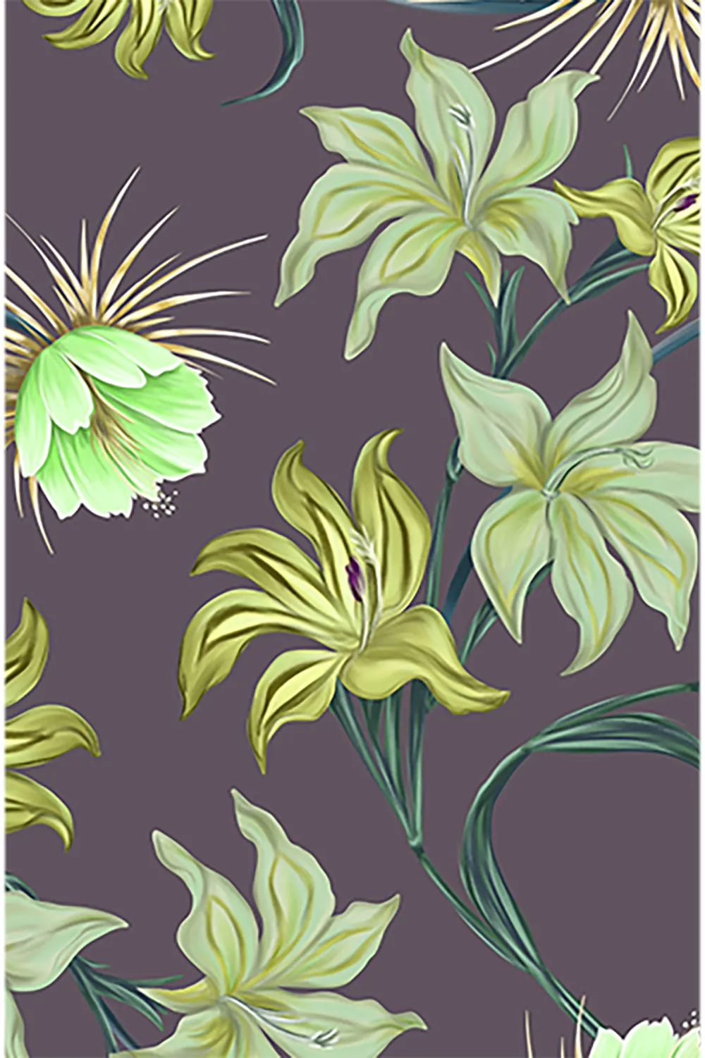 ACACIA Resort 2025 Echo Bottom in Nia sold by Society Bikini product image thumbnail 2