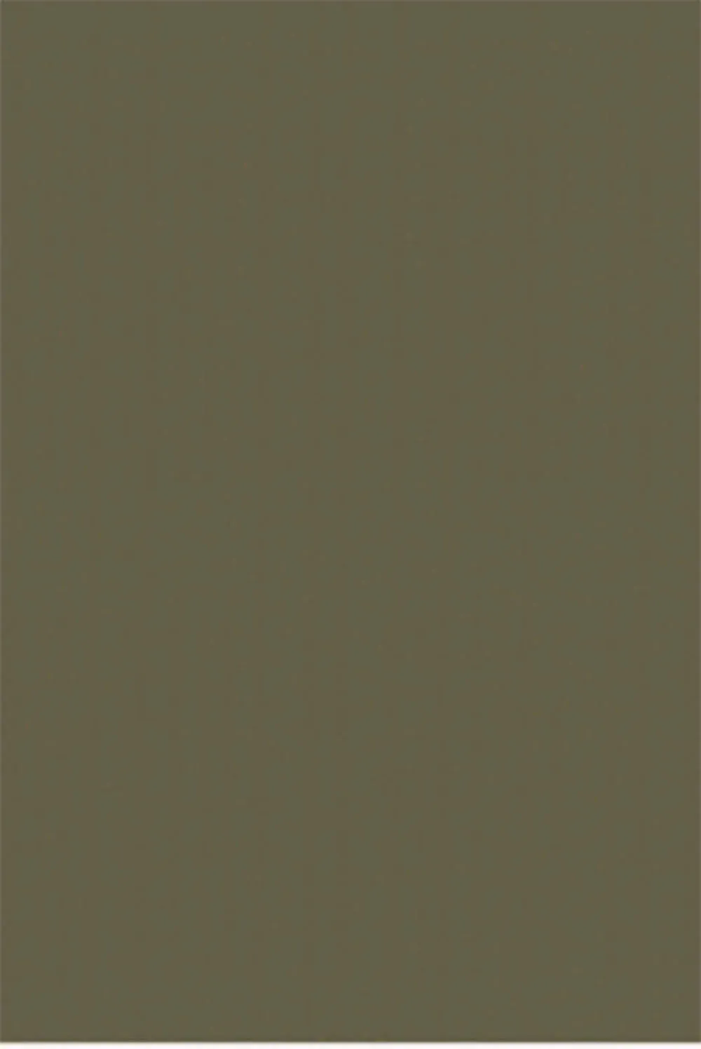 ACACIA Spring 2025 Cannons Top in Loden sold by Society Bikini product image thumbnail 2