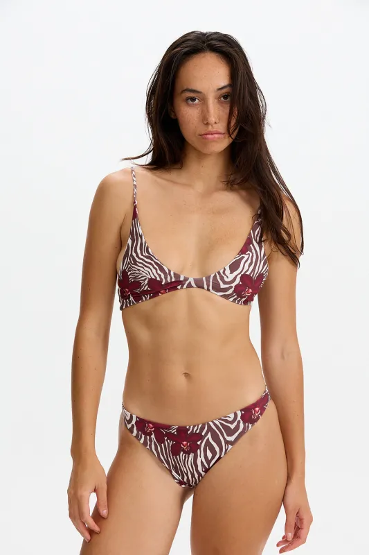 Benoa Swim Zoe Top in Diva sold by Society Bikini