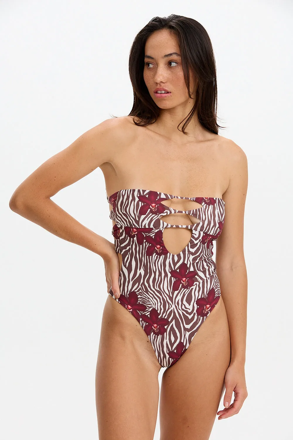 Benoa Swim India One Piece in Diva sold by Society Bikini