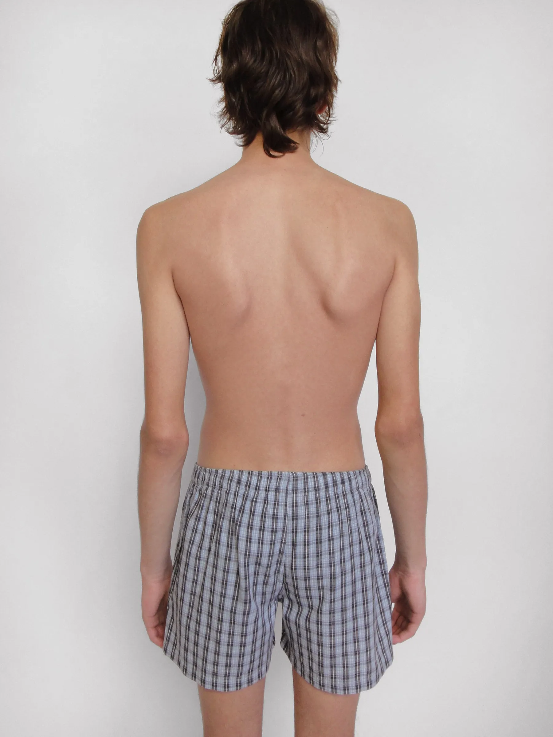 Male Boxer sold by Gimaguas product image thumbnail 5