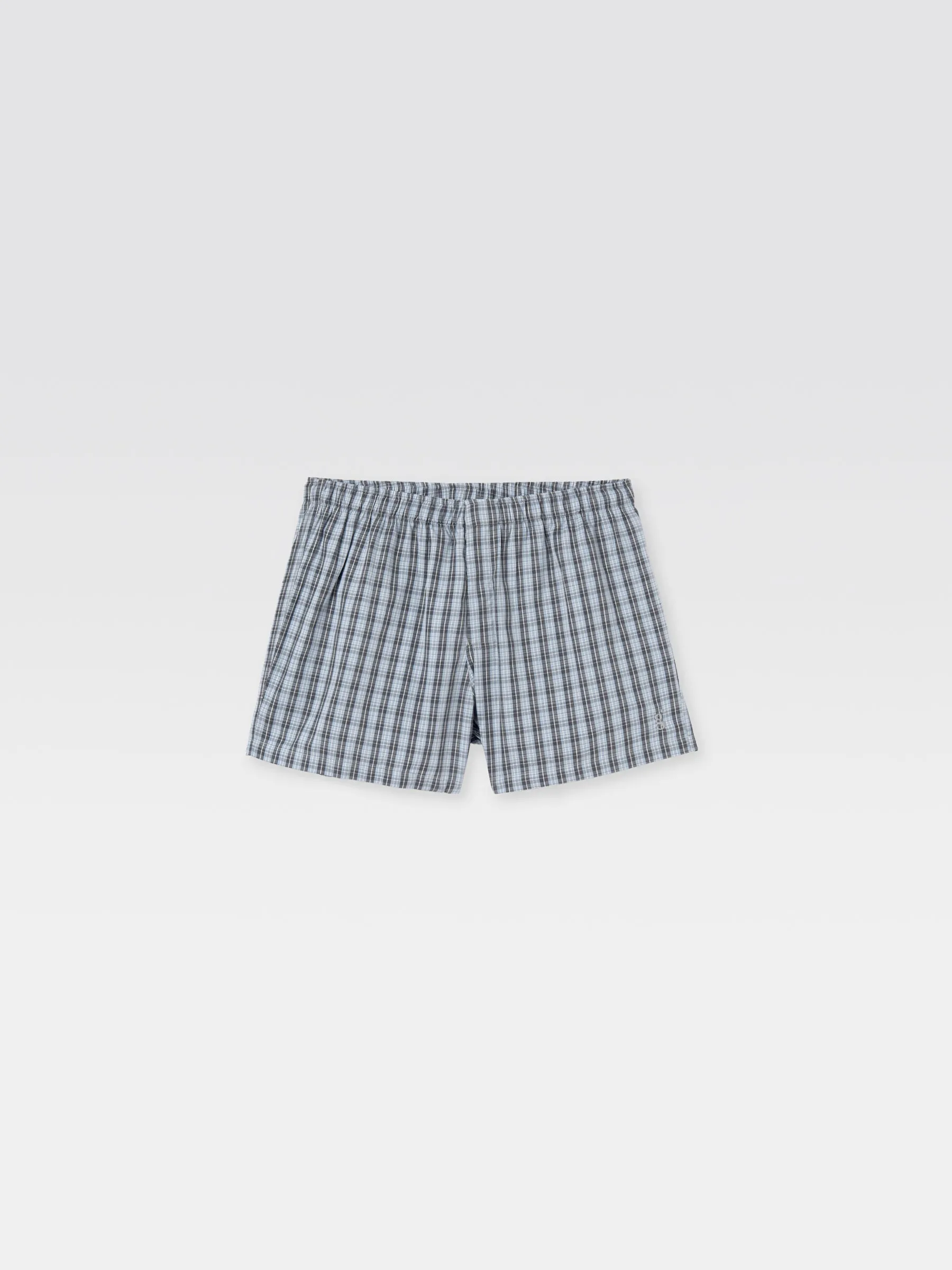 Male Boxer sold by Gimaguas