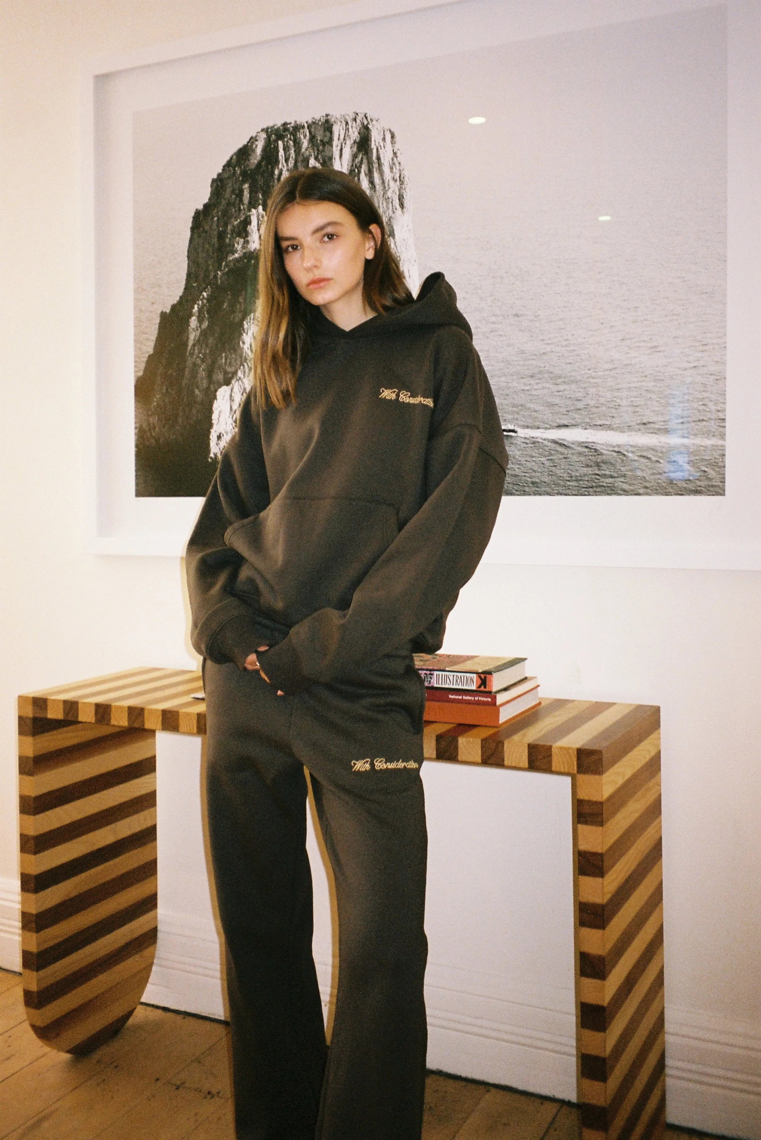 Signature Hoodie | Brown sold by With Consideration product image thumbnail 4