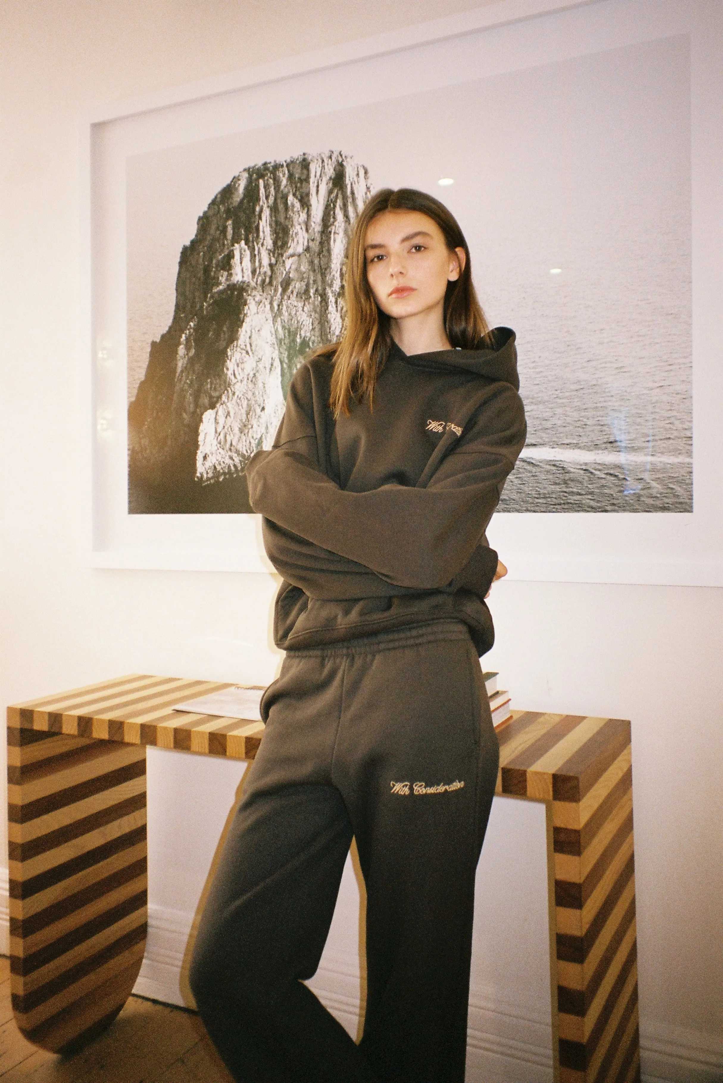 Signature Hoodie | Brown sold by With Consideration product image thumbnail 5